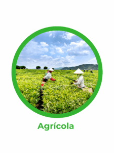 ícone agricola